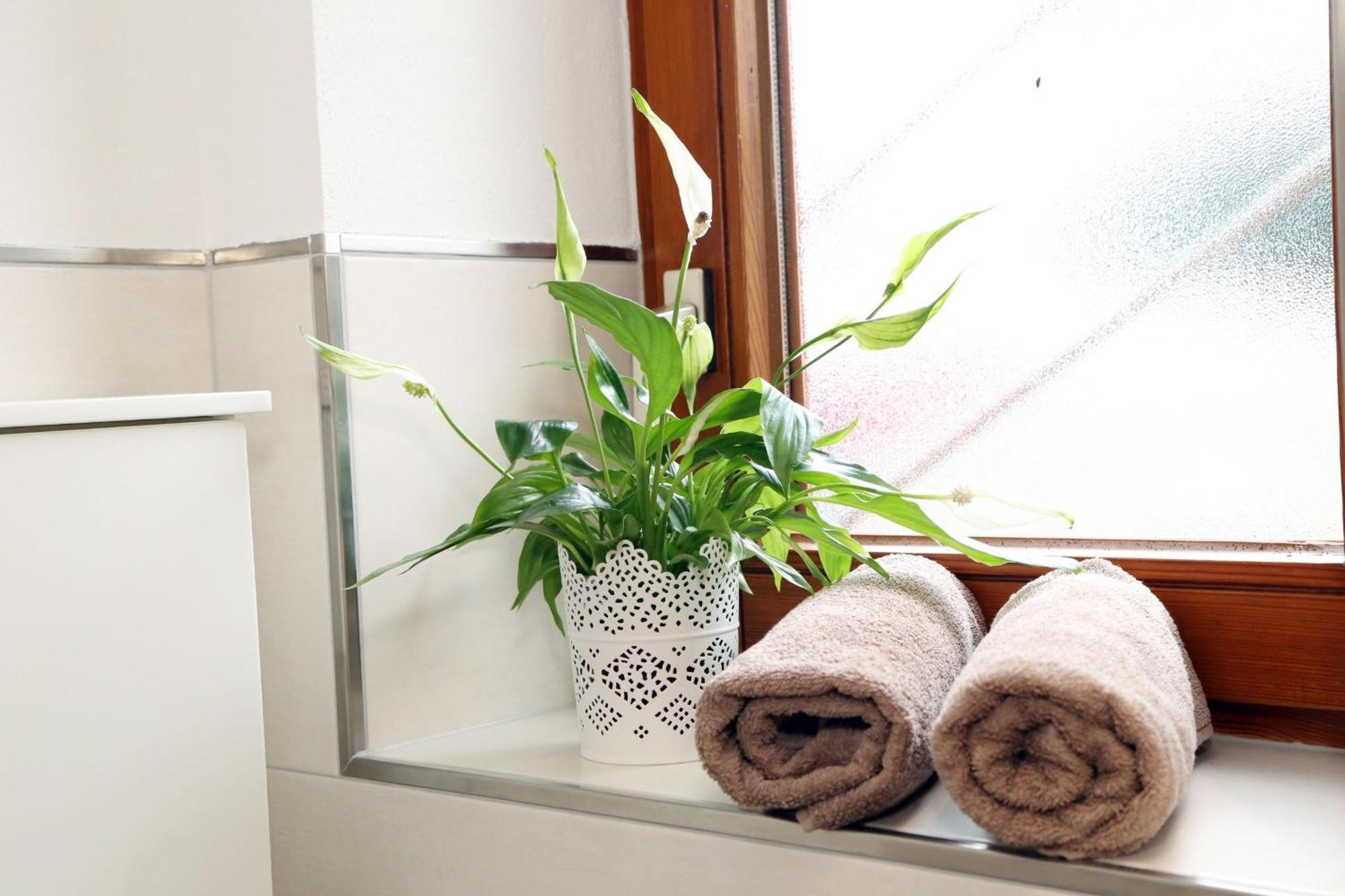 Appartement Schwarzwaldstueble أوبيرهارميرسباخ المظهر الخارجي الصورة